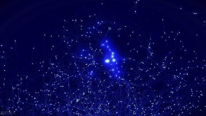 6月这五个星座要逆天啦！pg电子网站2025蛇年(图3)