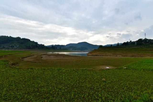 棉；芒种在尾热死老牛”今年哪？pg电子平台“芒种在头六月穿(图7)